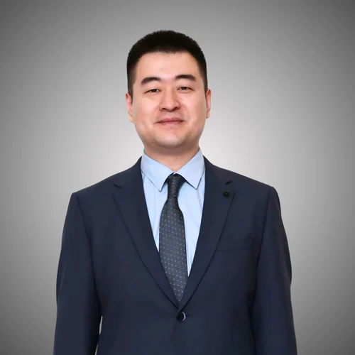 المحامي Ding Lei